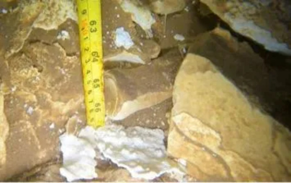 Hallan restos fósiles de un perezoso gigante en cenote de Yucatán