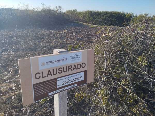 »Terrenos ganados al mar en Sisal son propiedad de la nación», aclara la Semarnat a pobladores