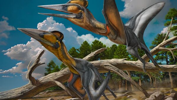 Identifican nueva especie de dinosaurio en Japón