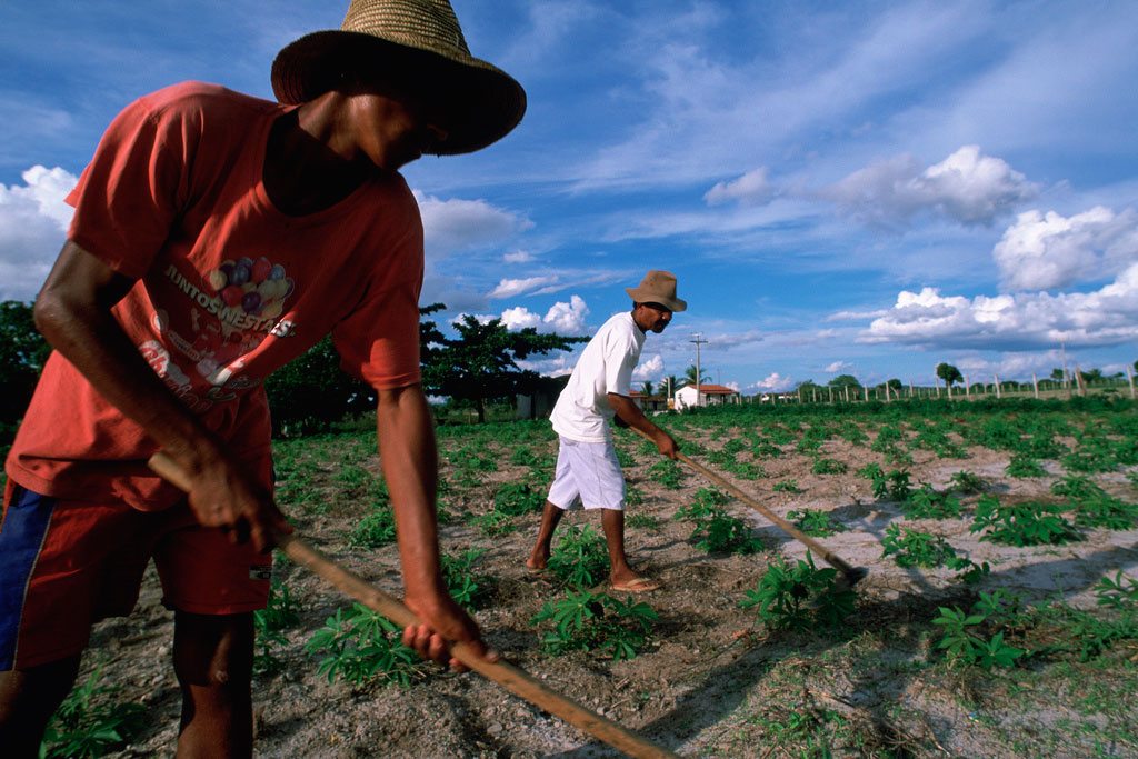 ONU incluye a México en programa global de agricultura sostenible