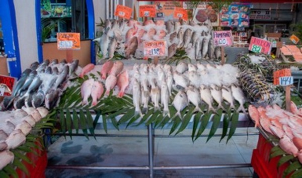 Central de Abasto estrena zona de pescados y mariscos