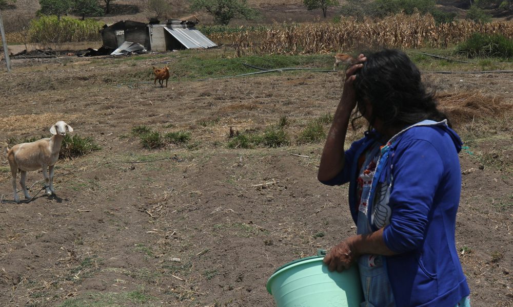 Comunidades indígenas desplazadas por violencia criminal temen regresar al sur de México