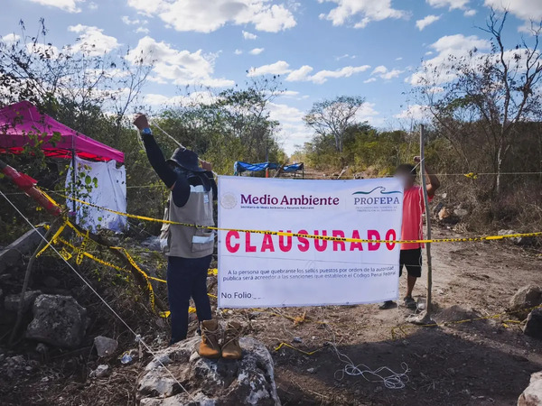 Profepa clausura cambio ilegal de uso de suelo en Umán, Yucatán