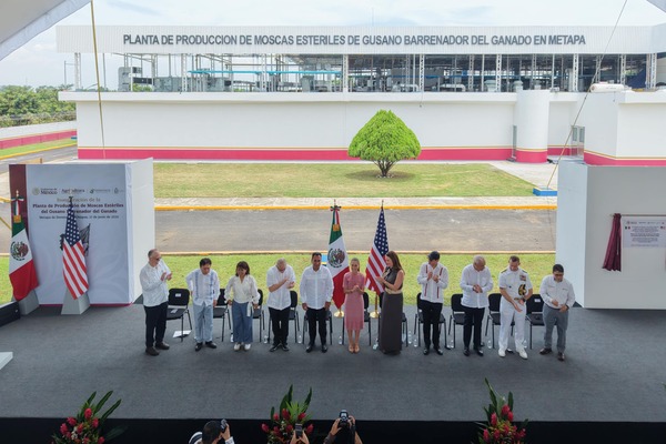 Presidenta Claudia Sheinbaum inaugura planta de producción de moscas estériles