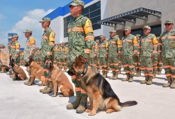 Perro rescatista de la Marina vuelve a México lesionado