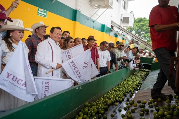 Impulsan citricultura y energías limpias en Yucatán