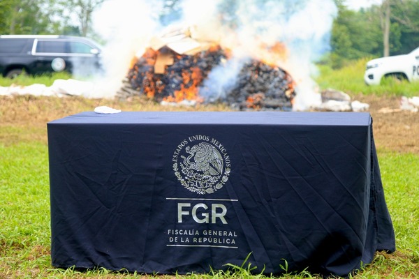 FGR destruye casi una tonelada de droga en Tabasco