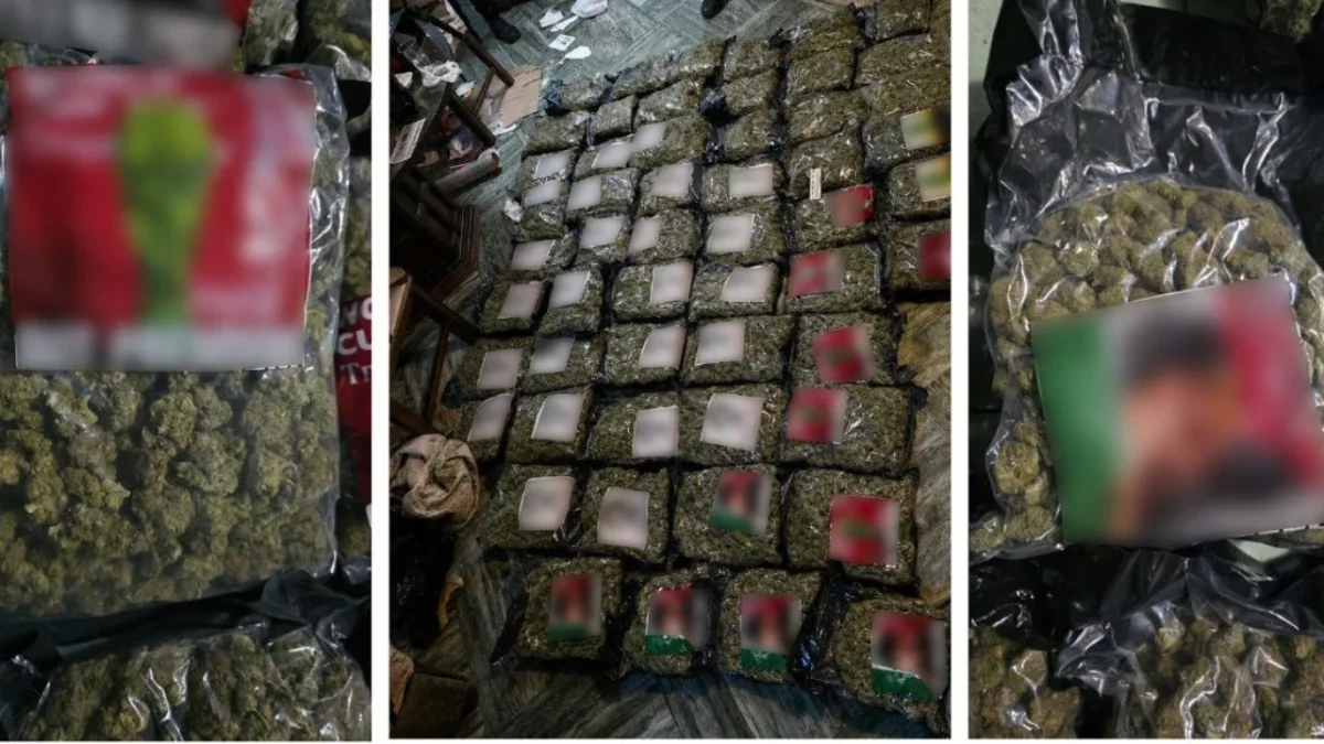 Decomisan 54 kilos de marihuana en cateo en CDMX