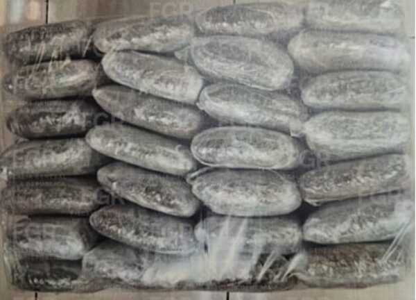 Condenan a cuatro personas por transportar 280 kilos de marihuana en Tabasco
